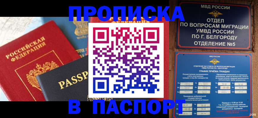 прописка для школы в Волхове